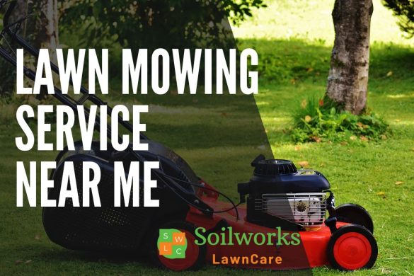 Discover The Ultimate Lawn Care Pricing Chart For Your Landscaping ...